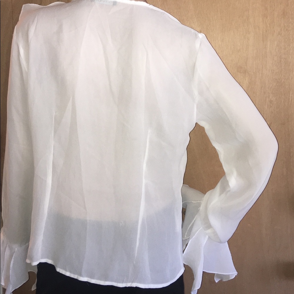 Gorgeous Sheer Ruffle Blouse - Picture 3 of 8